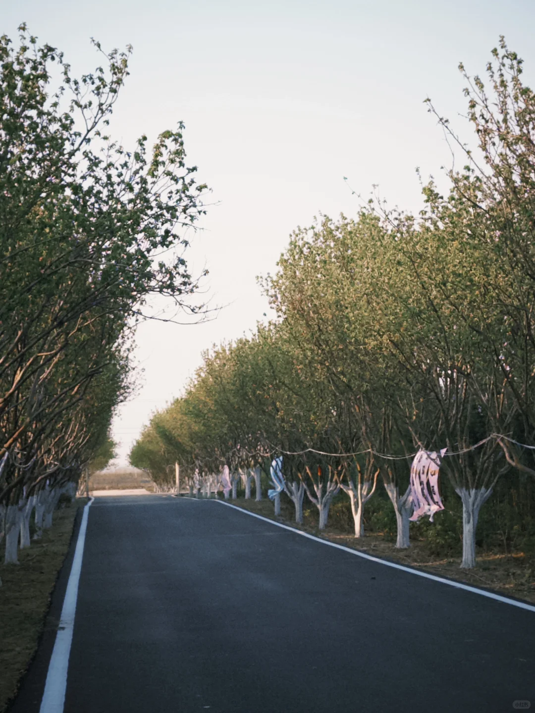📍邯郸峰峰｜踏春之旅从这里开始吧～