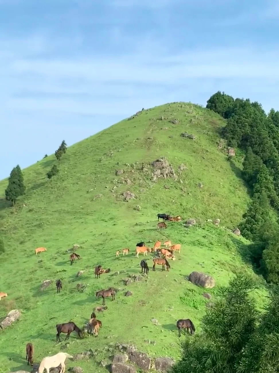 广西也太低调了吧!你不宣传这里是真糊涂啊