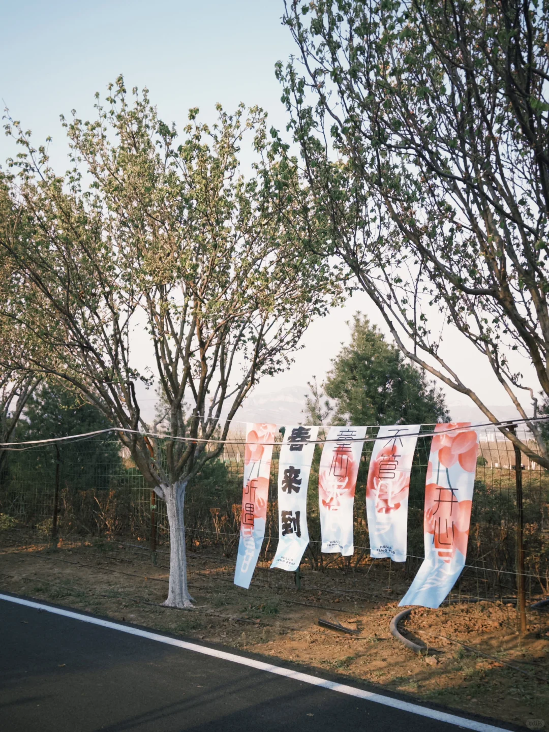 📍邯郸峰峰｜踏春之旅从这里开始吧～
