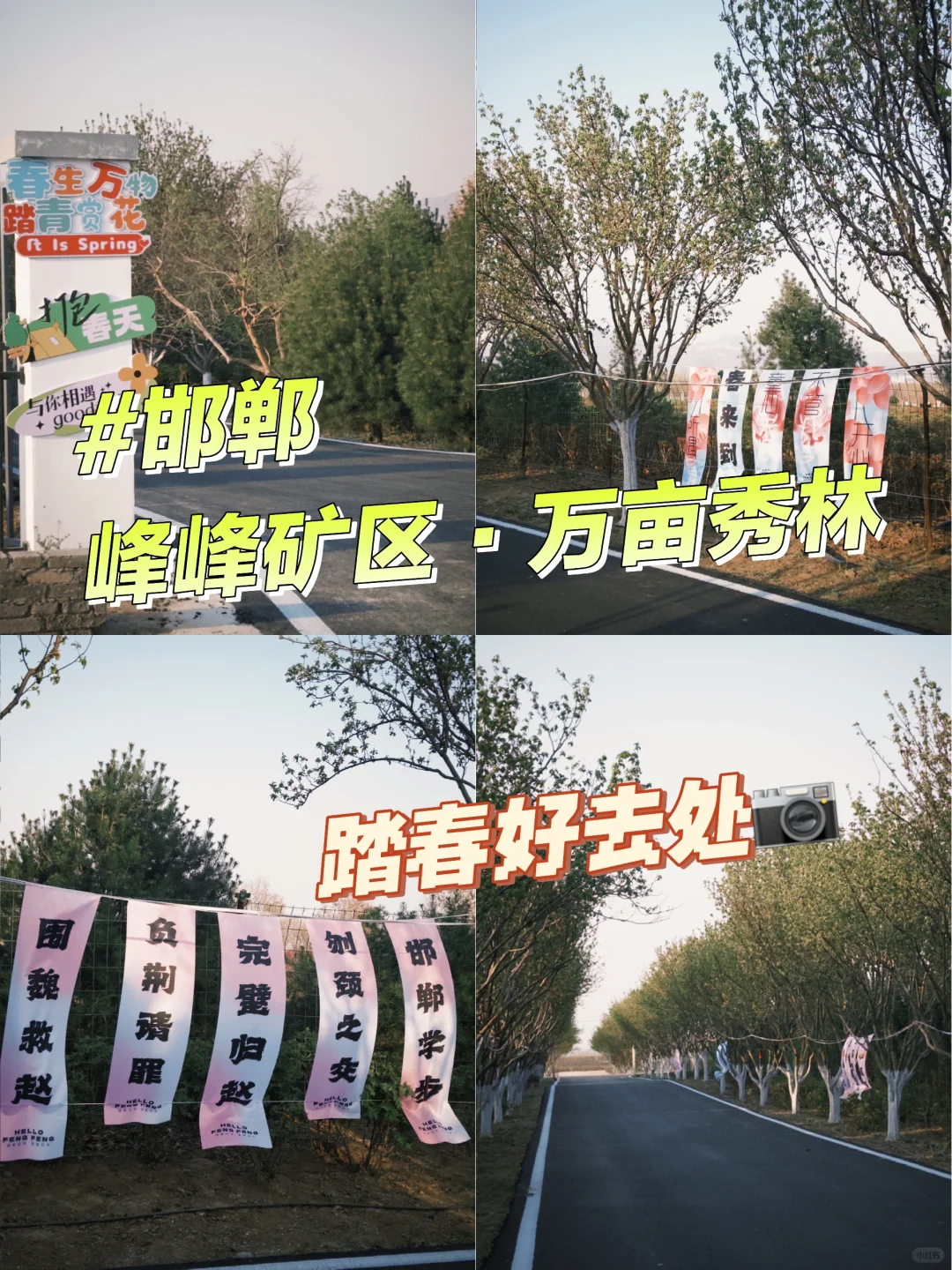 📍邯郸峰峰｜踏春之旅从这里开始吧～
