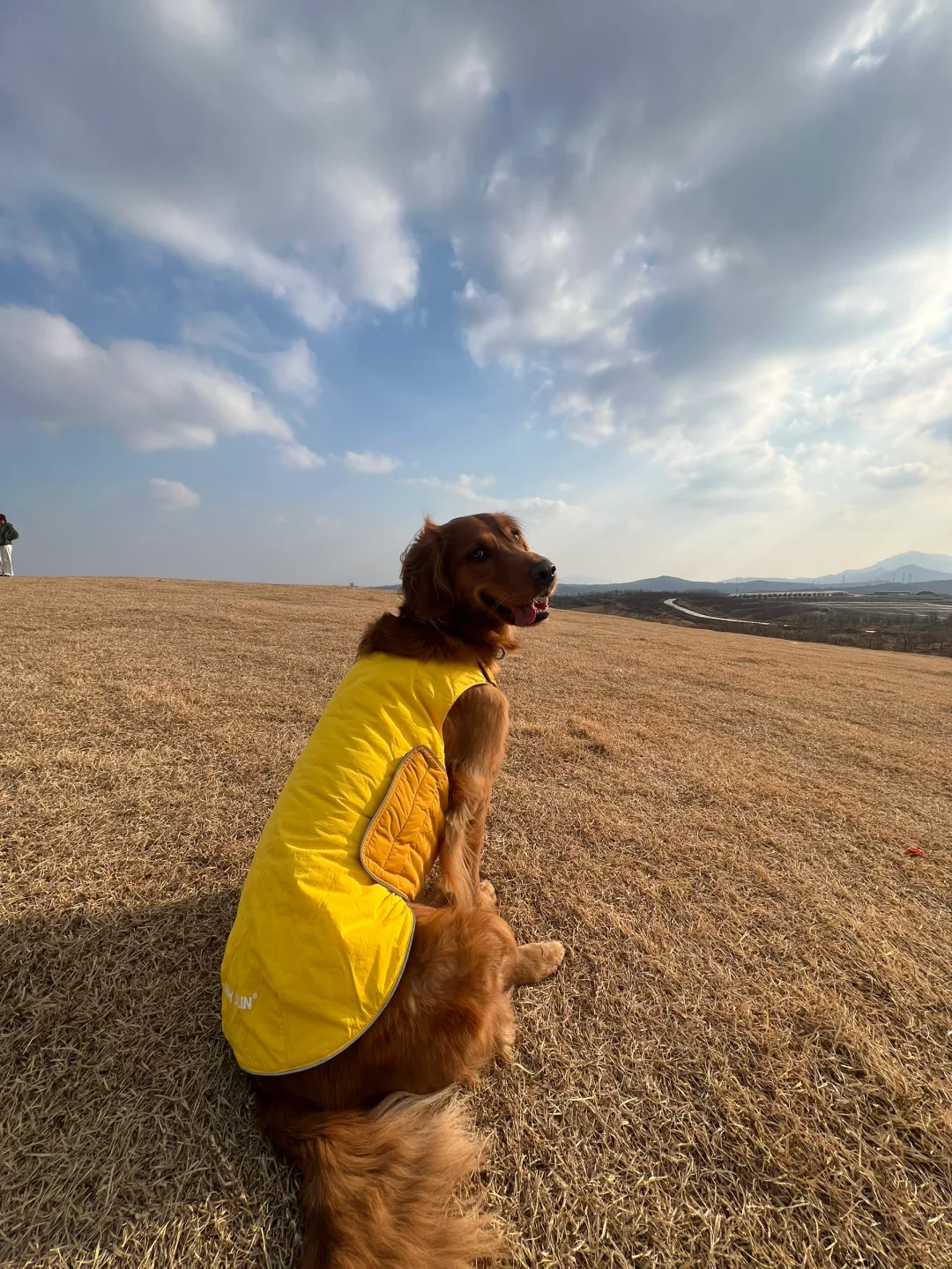 日照宠物友好攻略丨景点•餐厅🐶