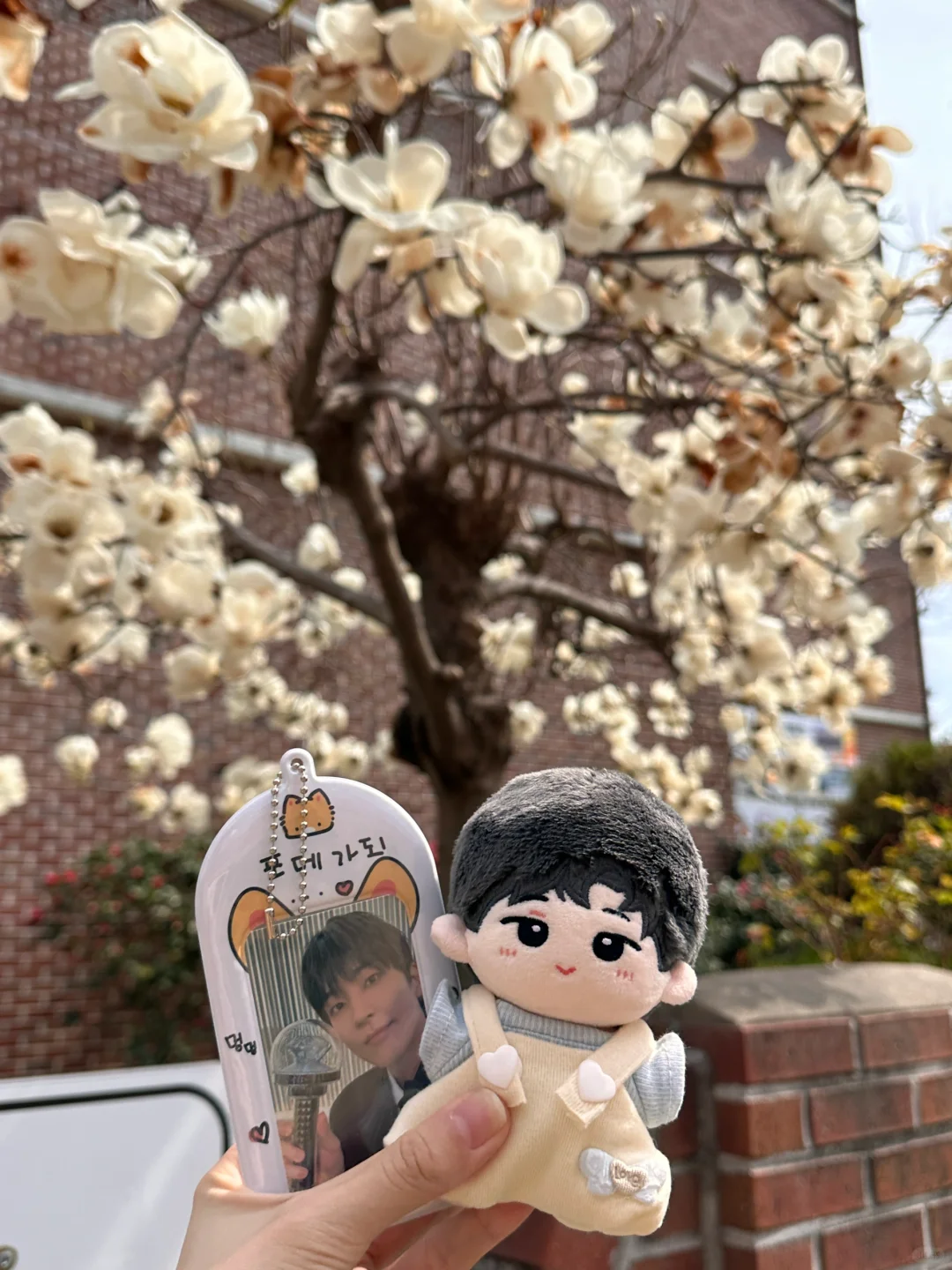 昌原plog｜来到你的故乡