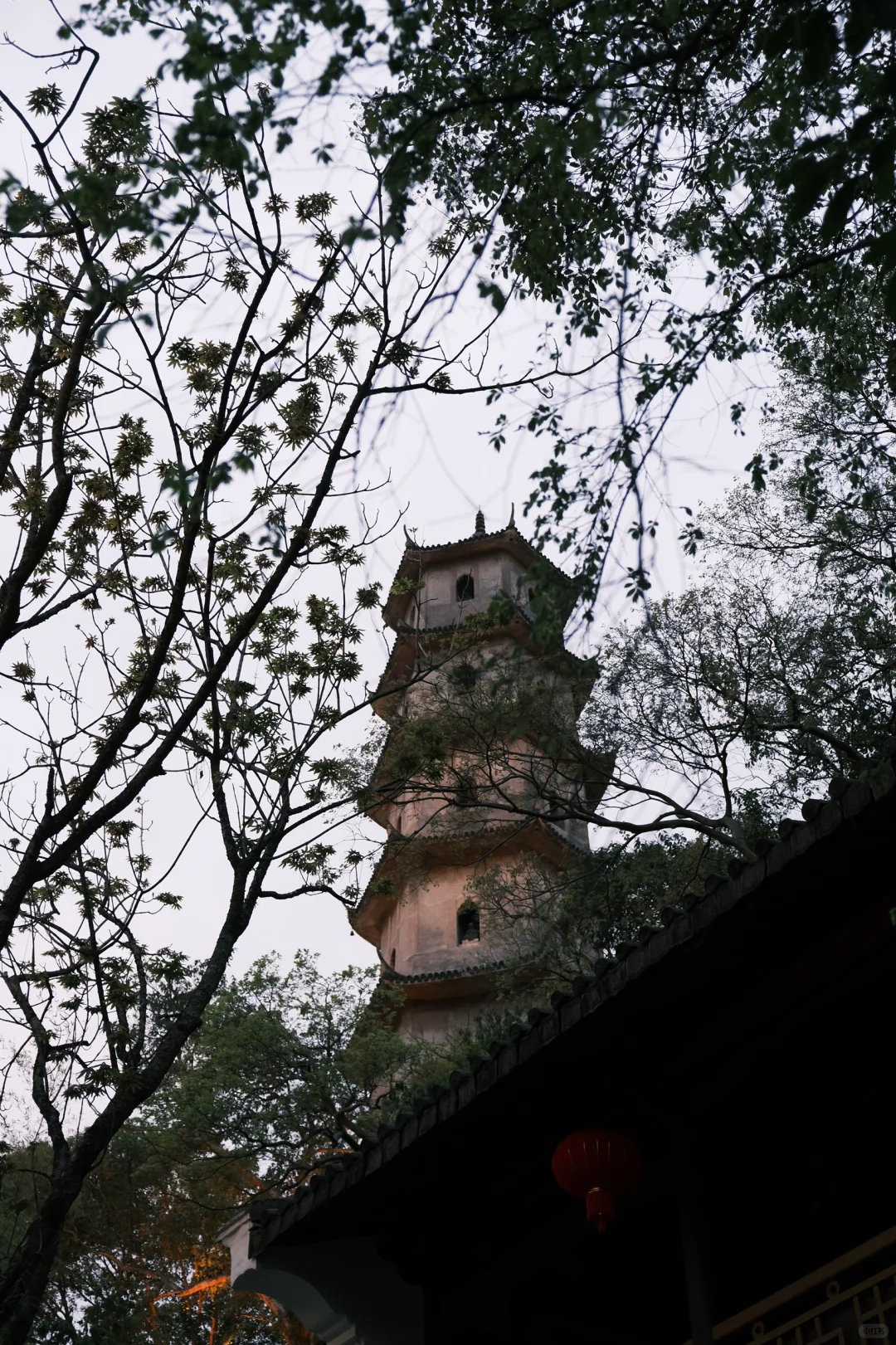 温州市区、音乐节、百丈漈三天两晚旅游攻略