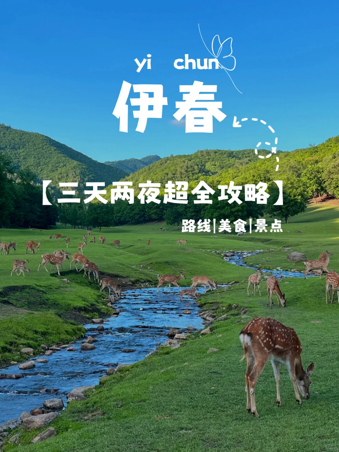 别告诉我你还没去过！伊春一定要打卡的景点