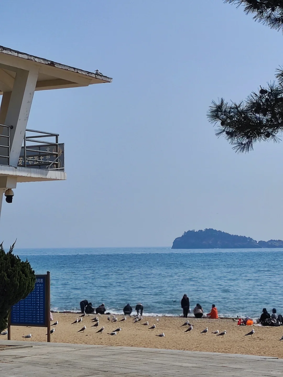 人与海鸥，共享春天的蔚蓝之境