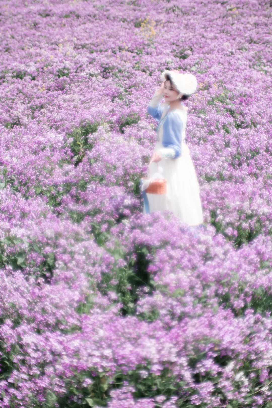 合肥普罗旺斯·肥西派园🌸