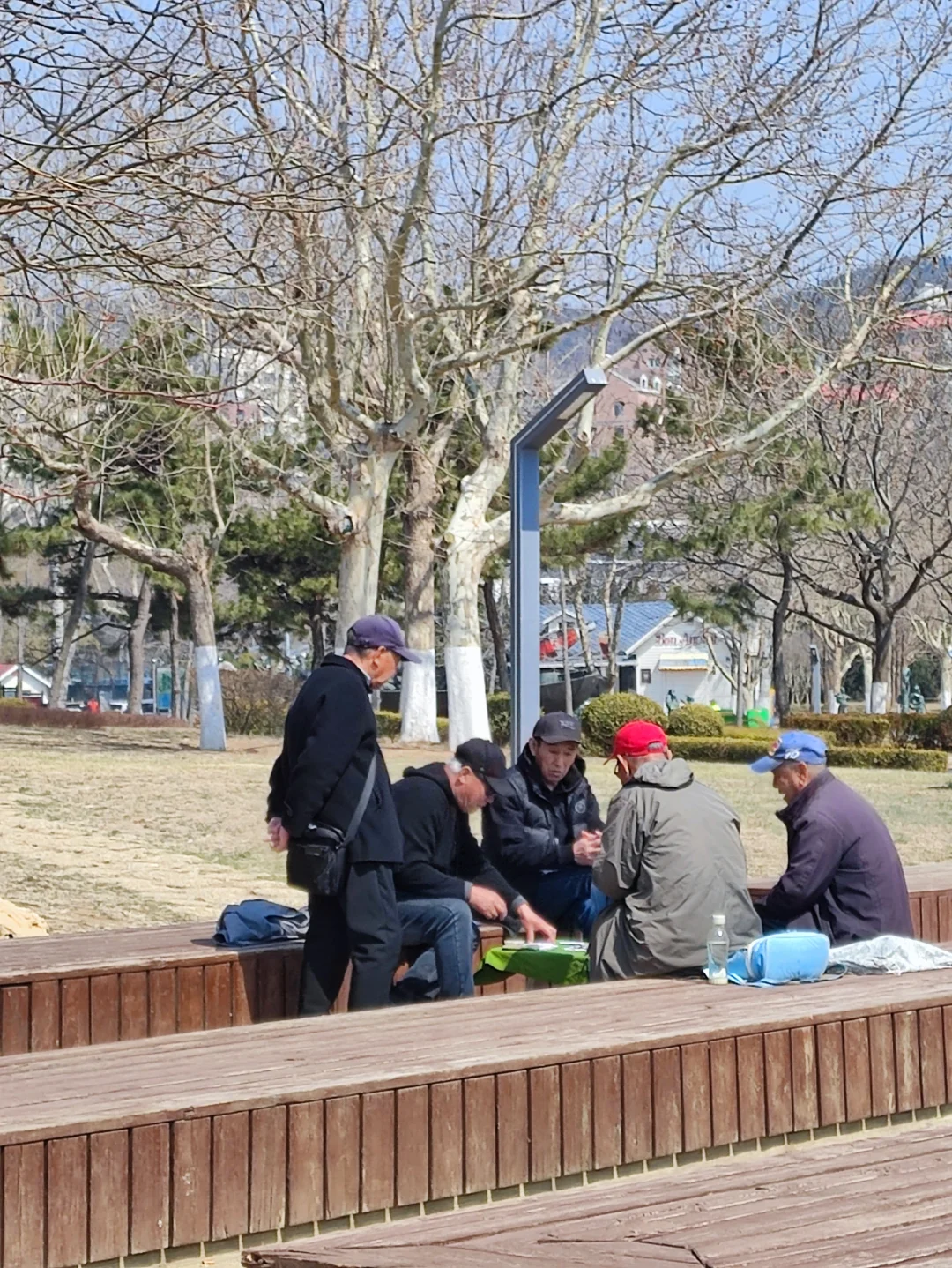 人与海鸥，共享春天的蔚蓝之境