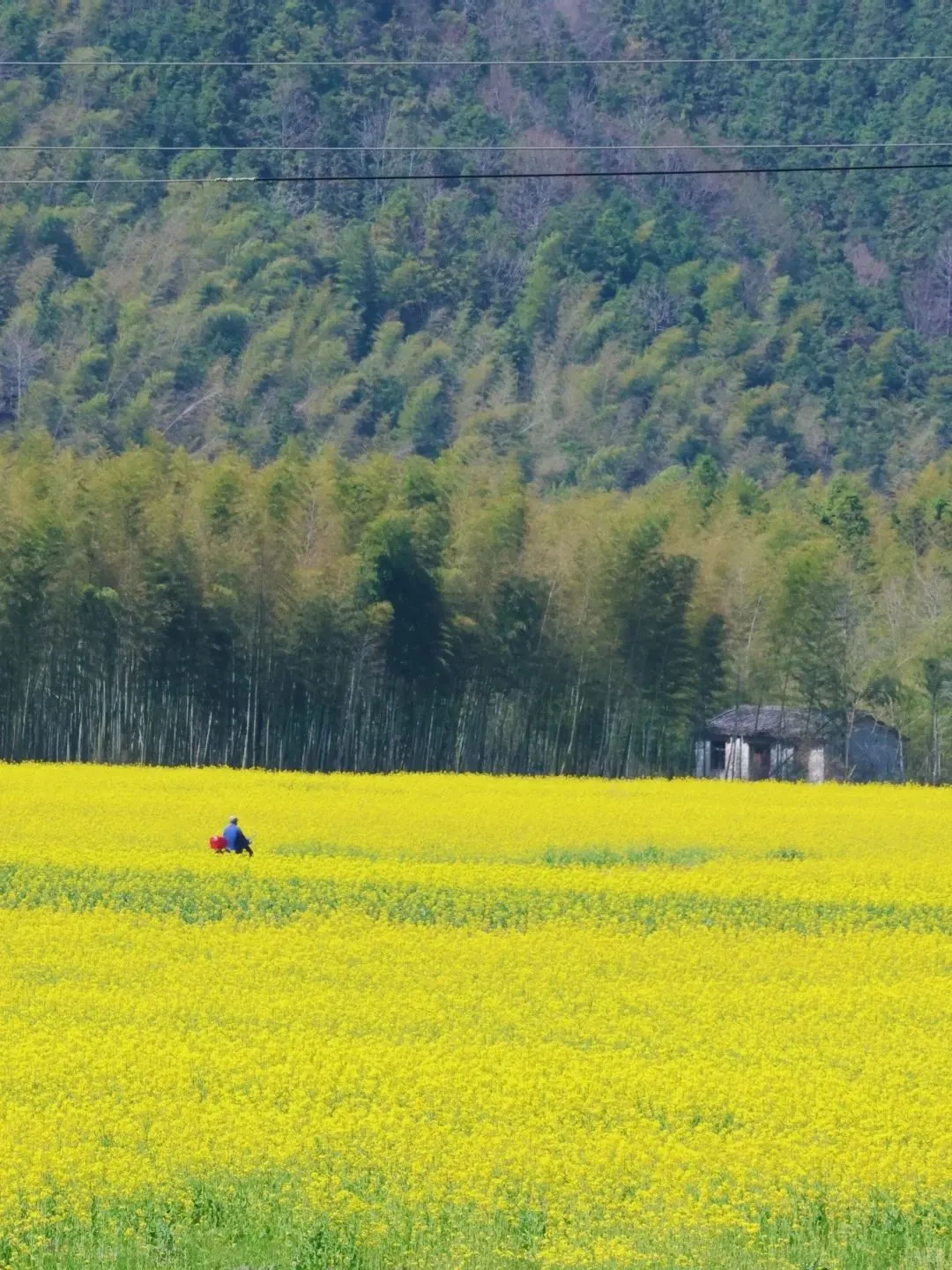 以为安徽宏村够美了,直到我来到这...
