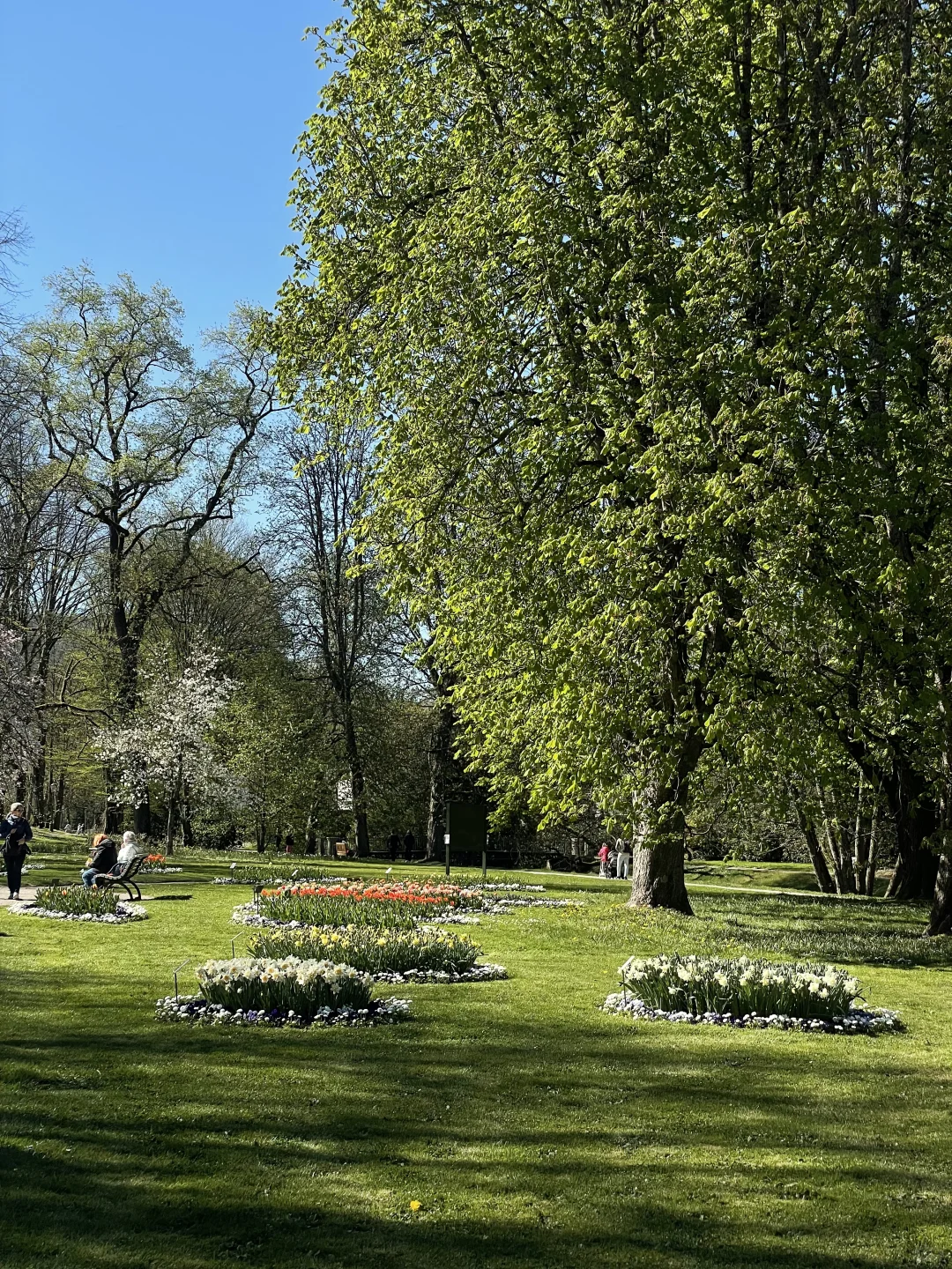 🇩🇪啊！是春天！