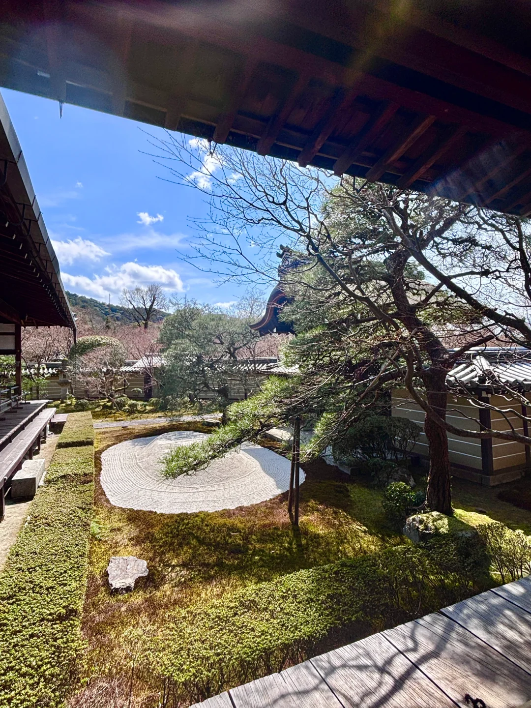 京都旅游攻略看我这篇就够！！！