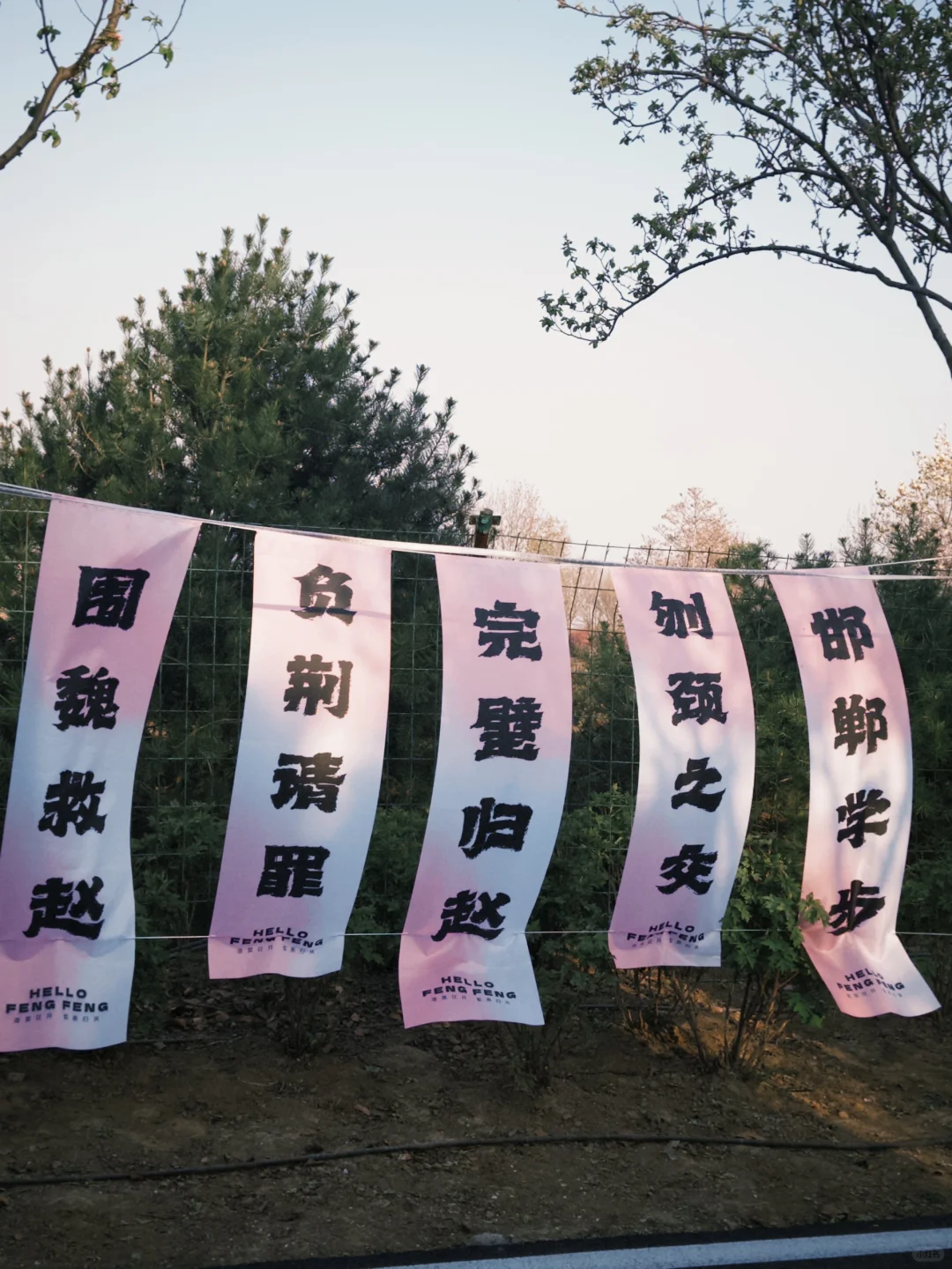 📍邯郸峰峰｜踏春之旅从这里开始吧～