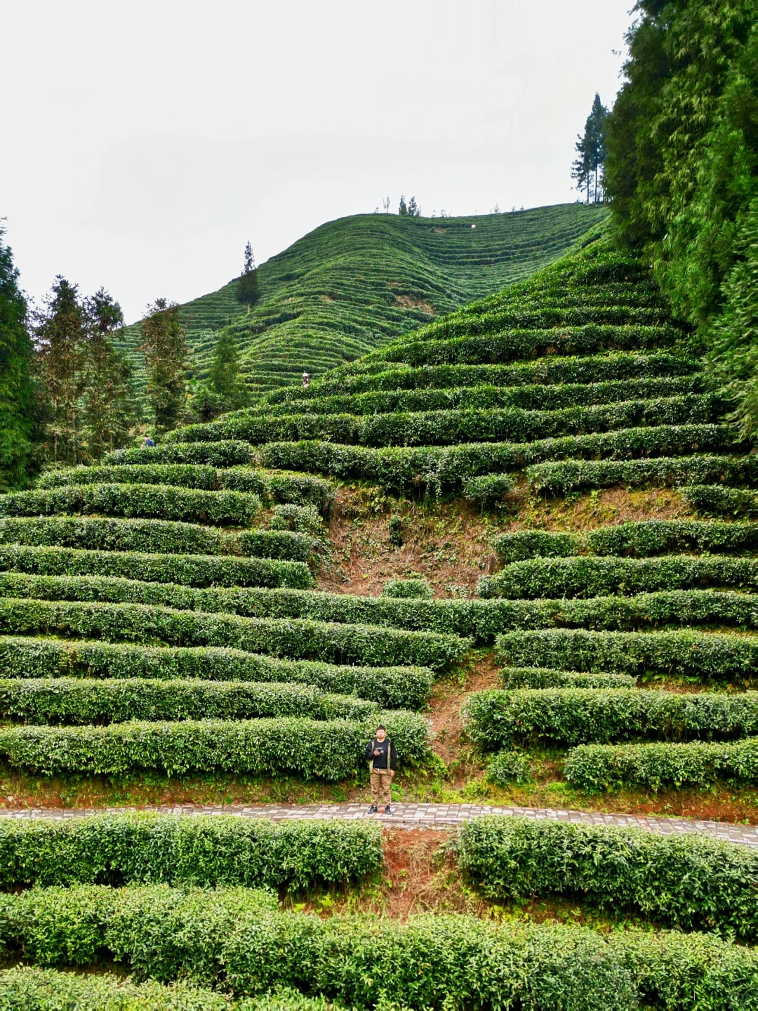 雅女湖免费露营归来❗️复兴村茶山徒步真舒服