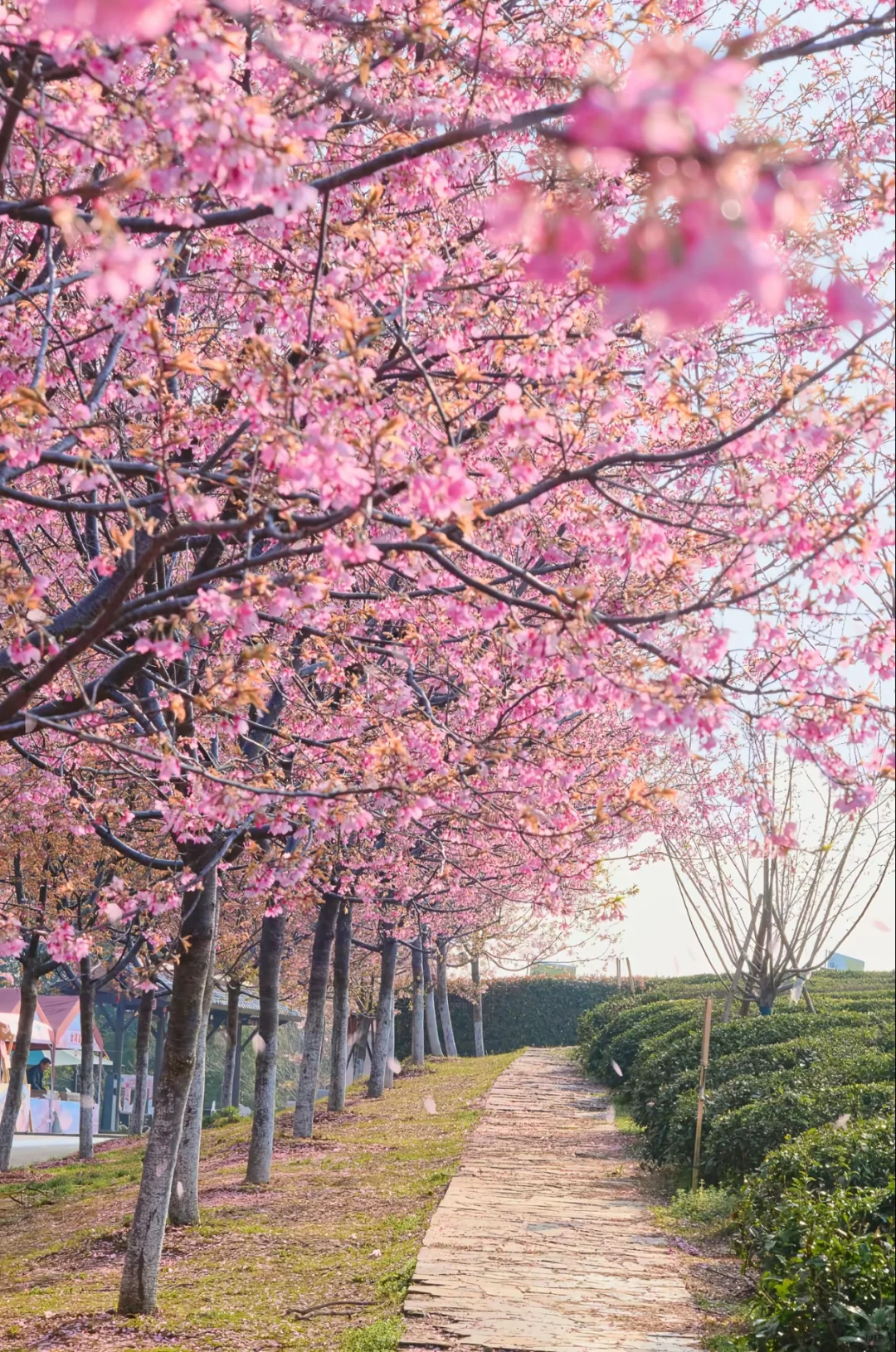 📌 江西南昌清明节旅游攻略