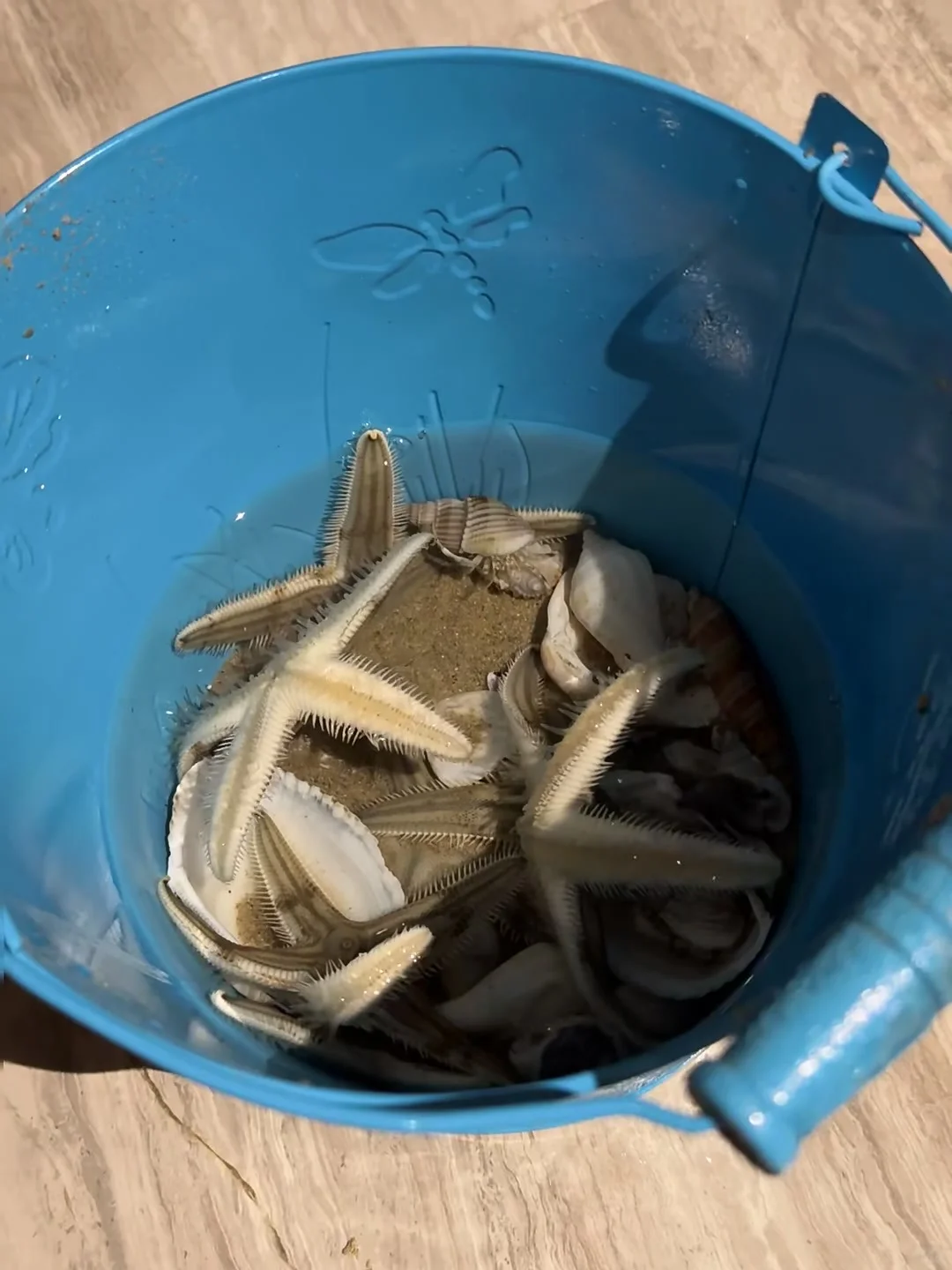 今年五一,我只带娃去一个地方:万宁!🤩