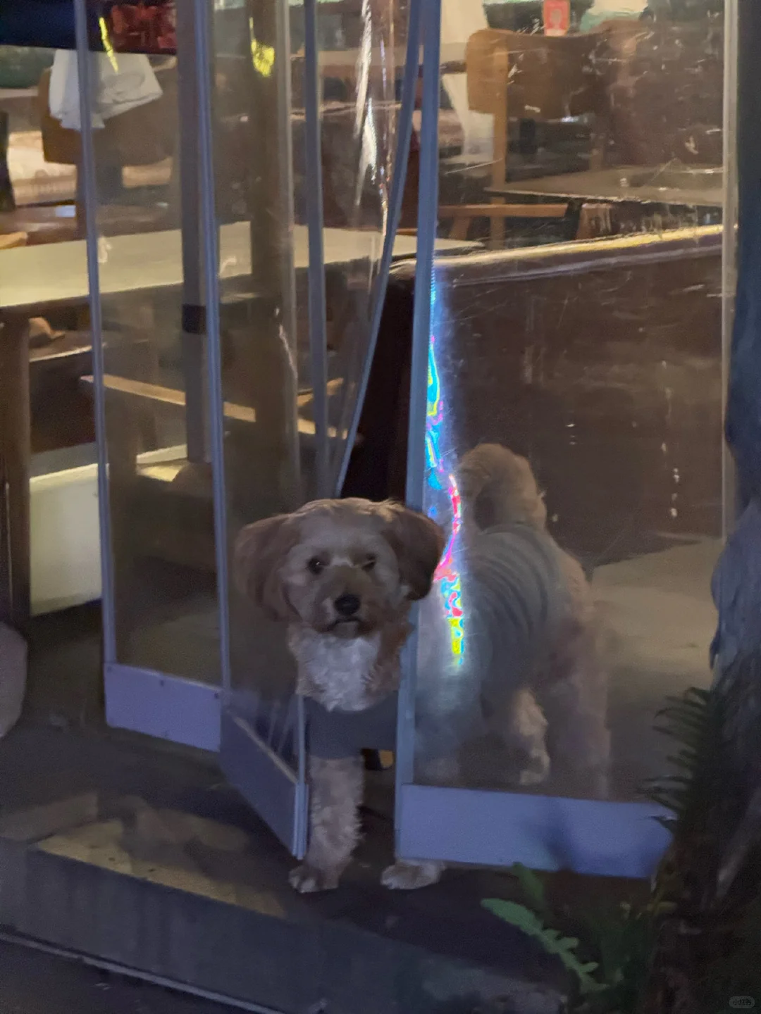 一条老街 吹吹晚风