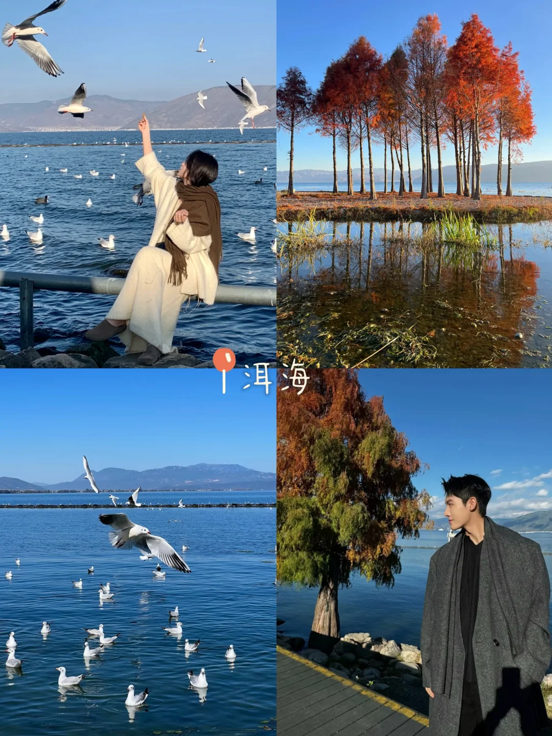 云南旅行已回👒，七天花了2600💰，情侣路线！