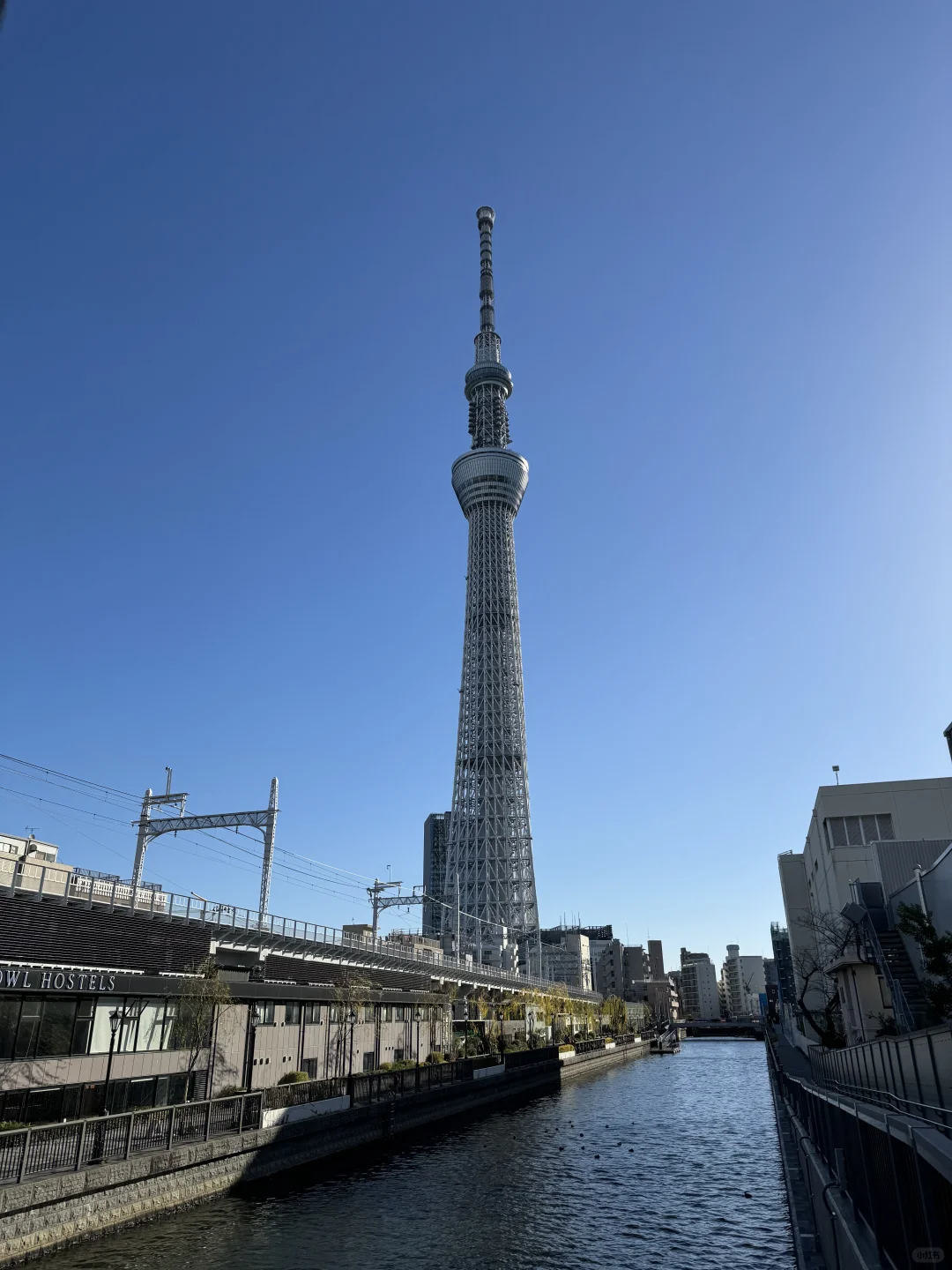 ✨ 「東京：摩登与禅意的二重诗」