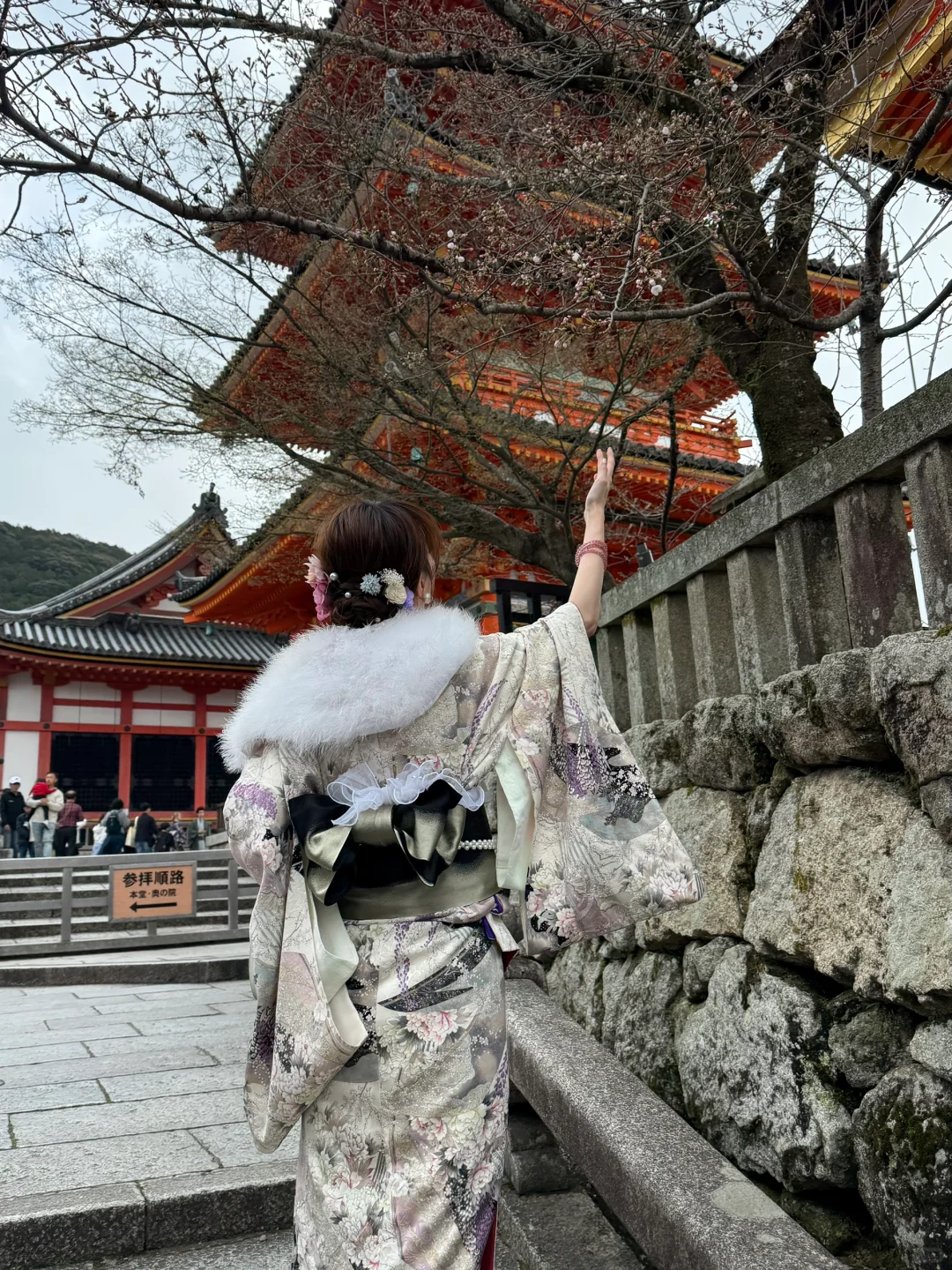 京都旅游攻略看我这篇就够！！！