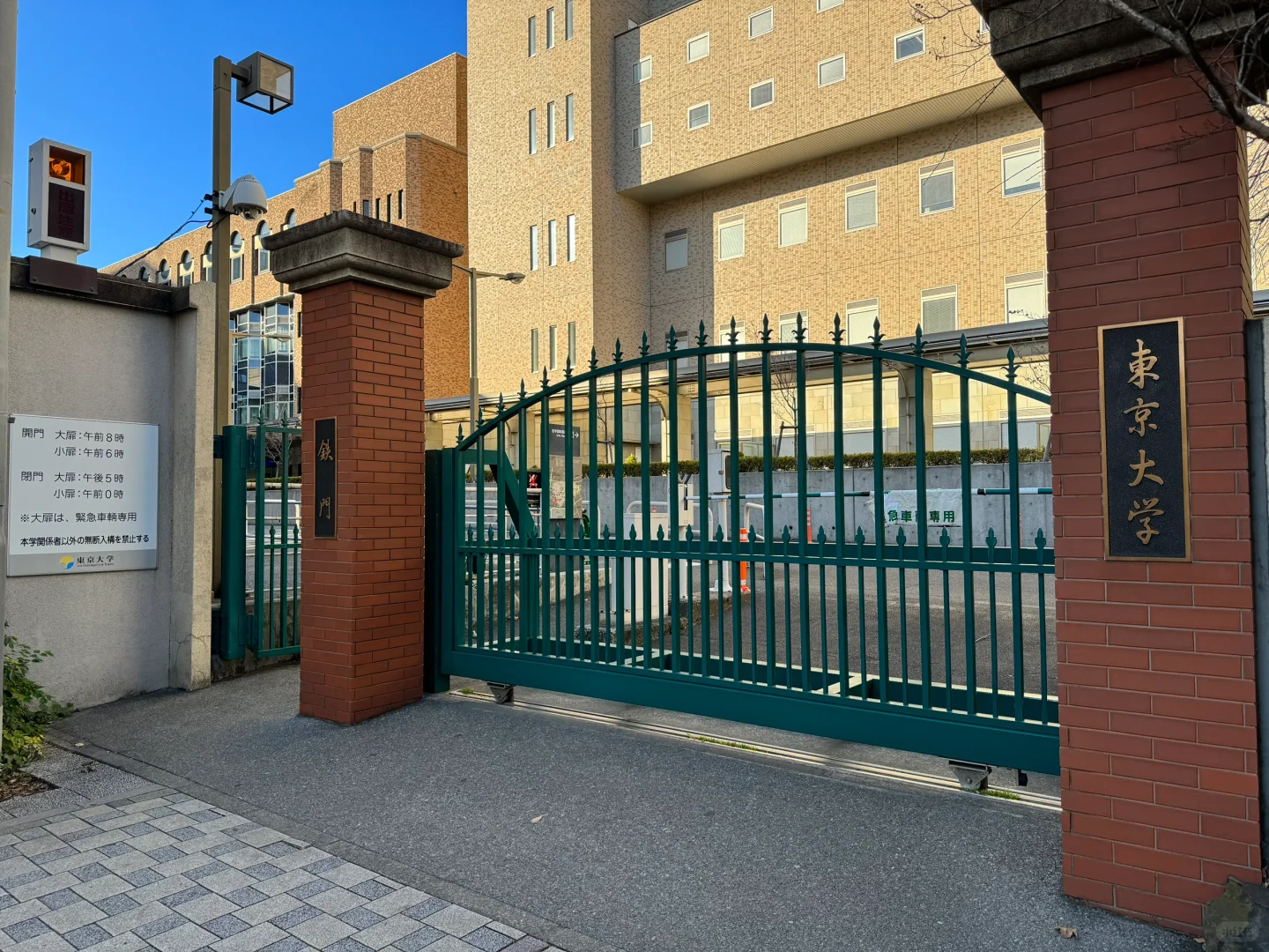 ✨ 「東京：摩登与禅意的二重诗」