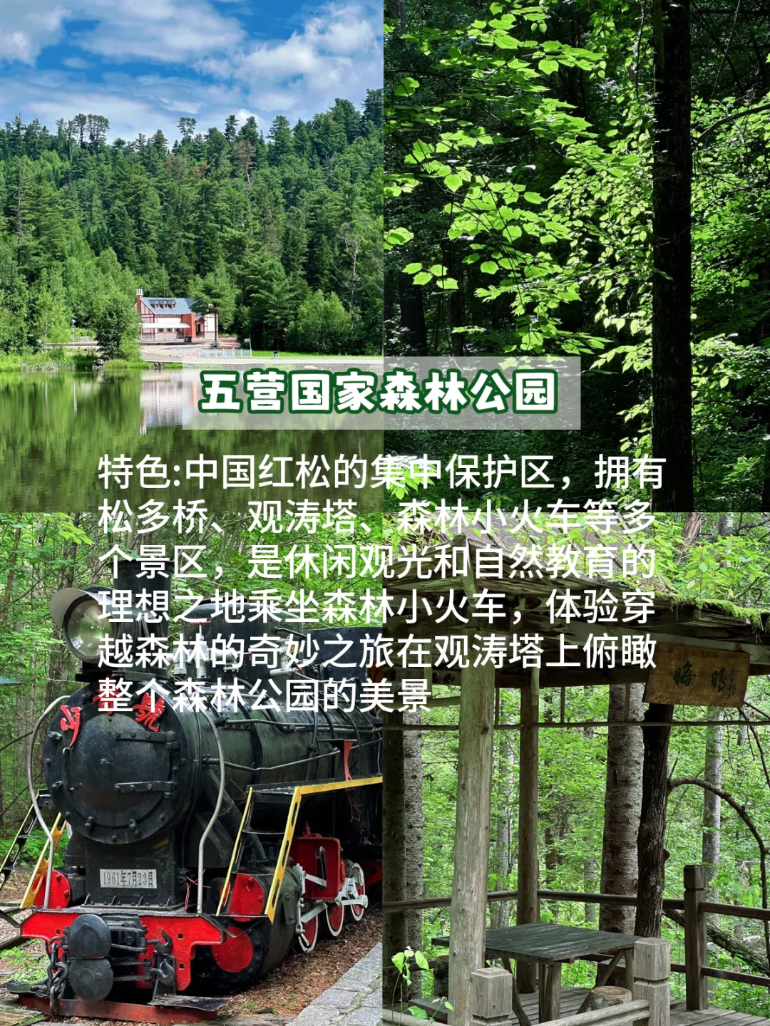 别告诉我你还没去过！伊春一定要打卡的景点