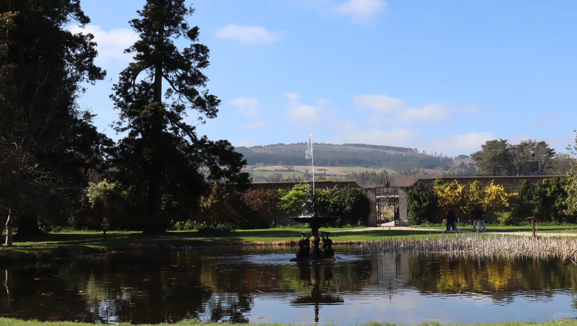 春天🍃古堡🏰花园💐powerscourt历险