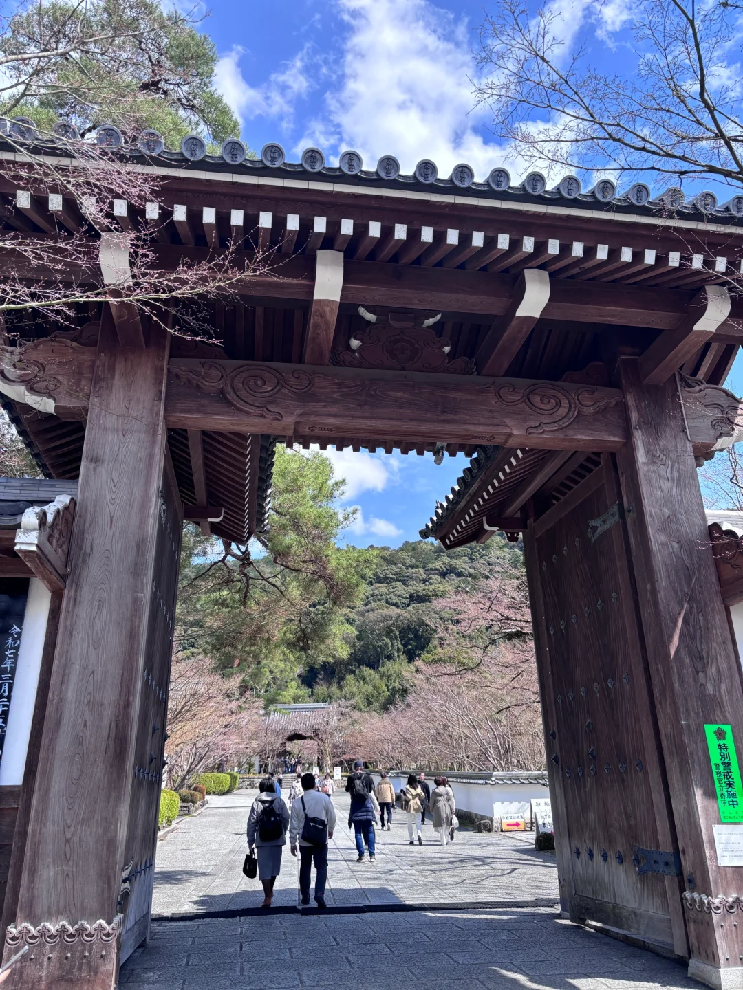 京都旅游攻略看我这篇就够！！！