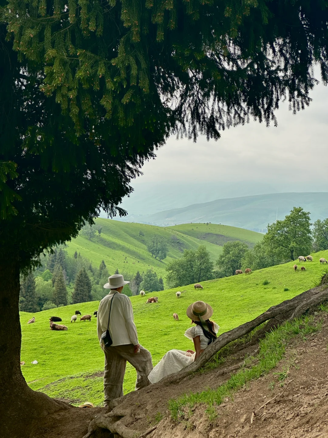 新疆的五月!!!人生真的是旷野啊!(live)