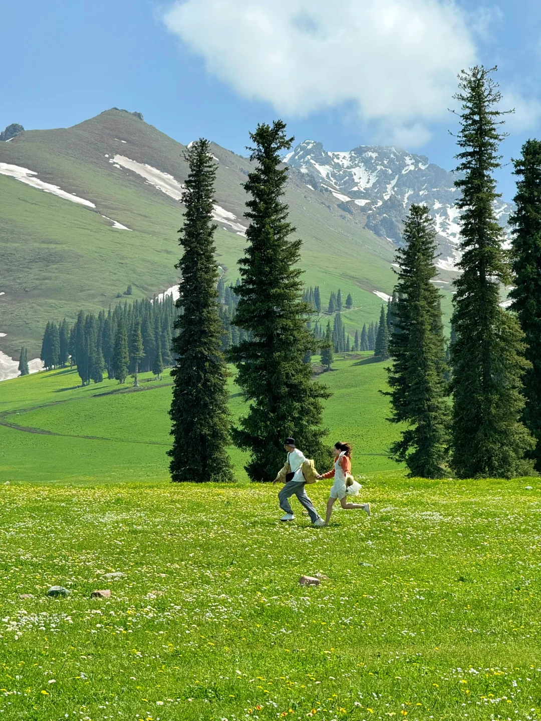 新疆的五月!!!人生真的是旷野啊!(live)