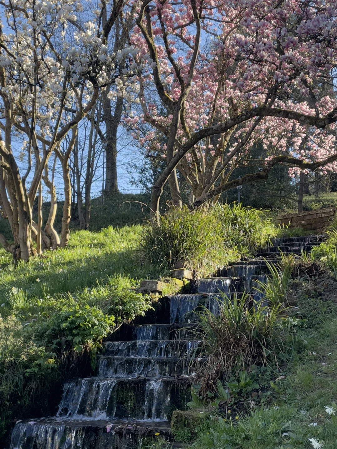 🇩🇪啊！是春天！