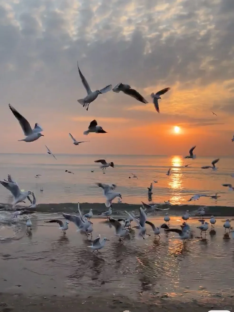 听劝👂🏻3-5月来阿那亚的姐妹们👭请🐎住