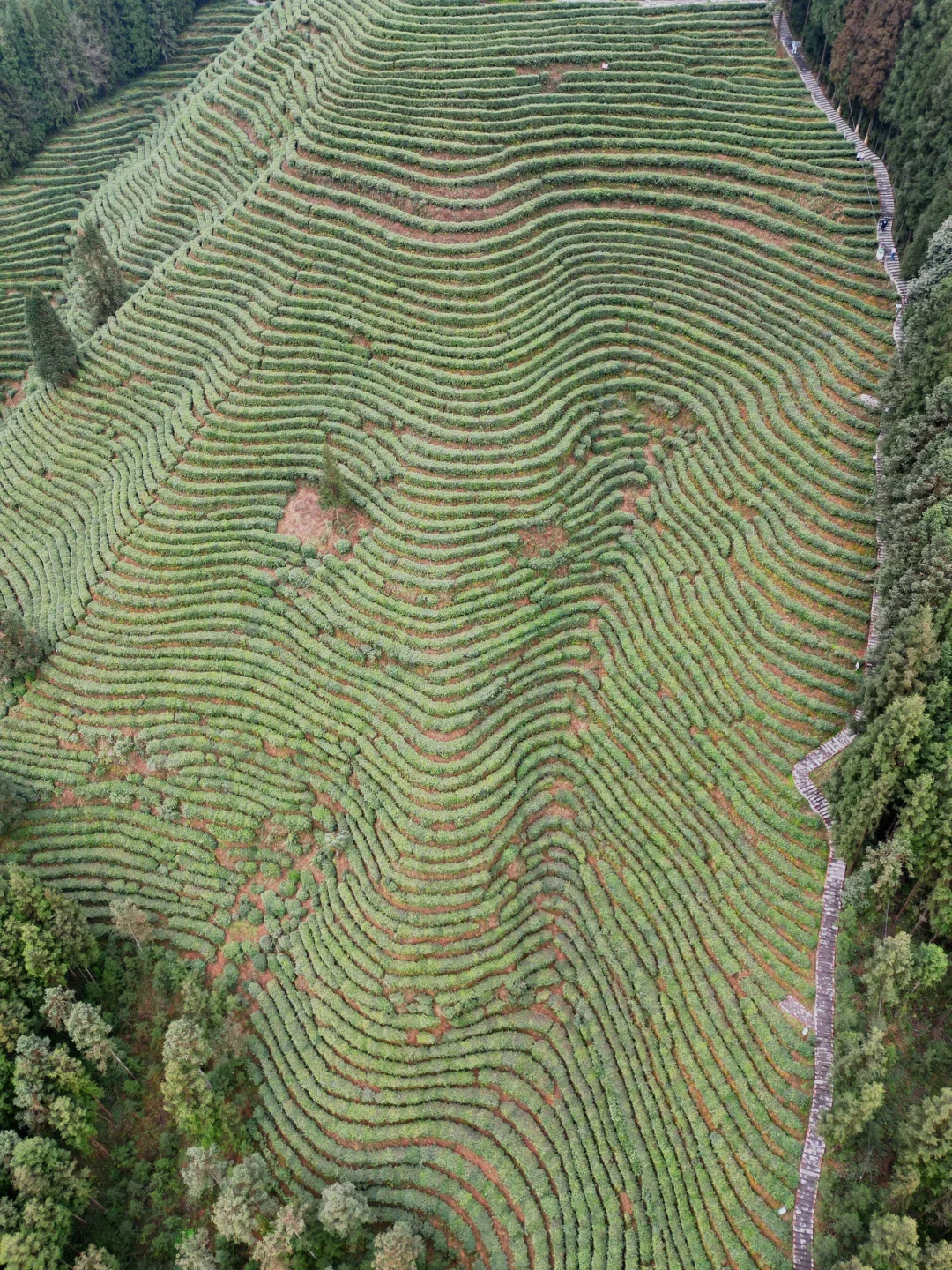雅女湖免费露营归来❗️复兴村茶山徒步真舒服