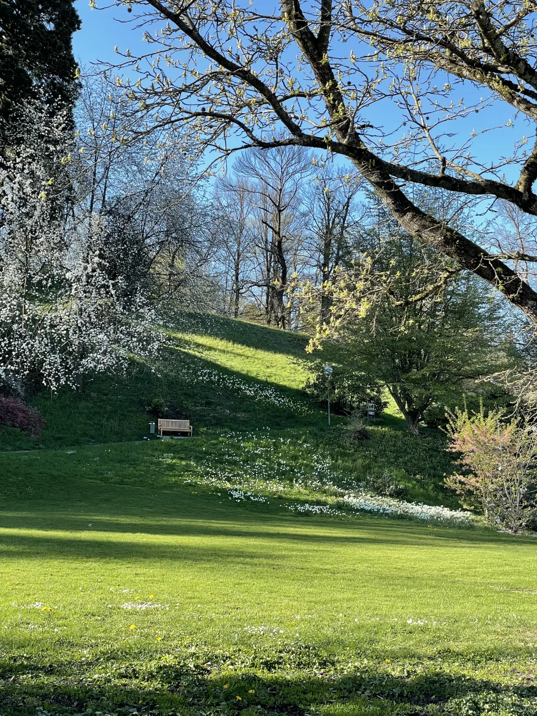 🇩🇪啊！是春天！