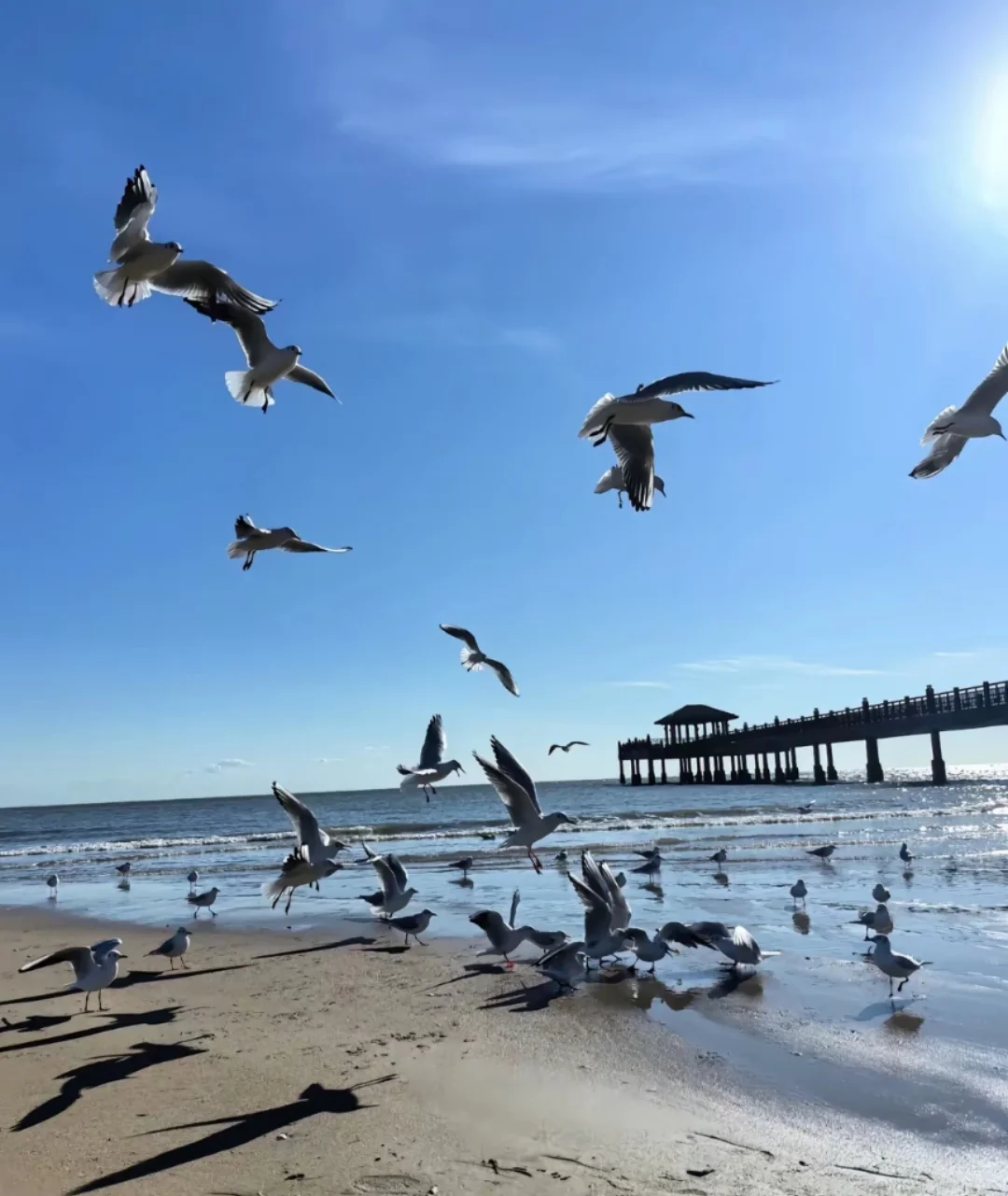 邯郸出发秦皇岛旅游攻略,秦皇岛三日游