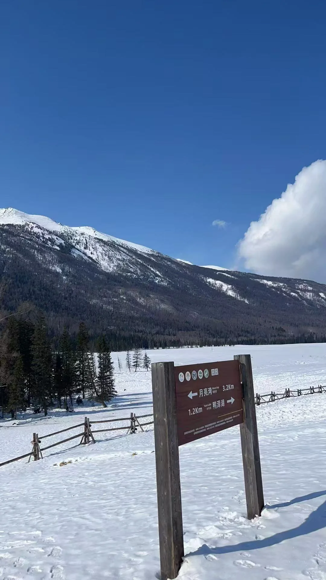 女大新疆小团遭罪已回！真的大力推荐！