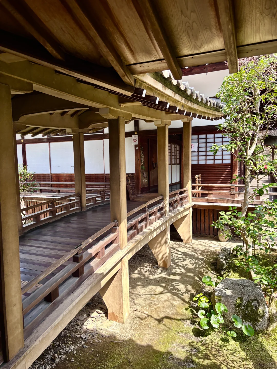 京都旅游攻略看我这篇就够！！！