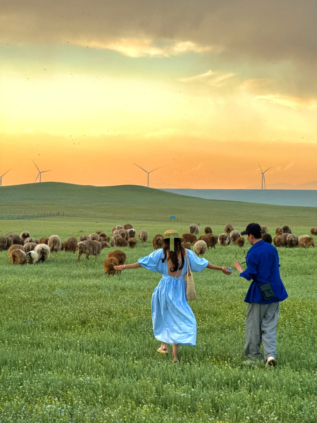 新疆的五月!!!人生真的是旷野啊!(live)