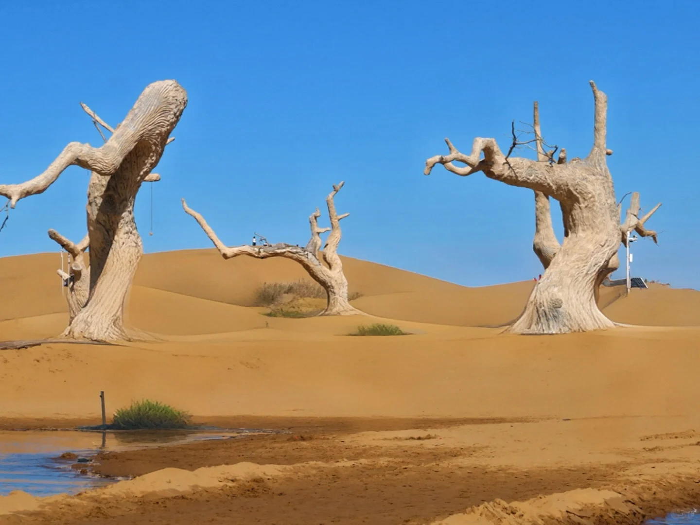 推荐一个真正冷门旅行城市！！！