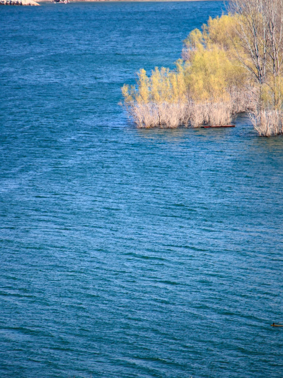 洛阳·鹰嘴山 | 免费看“海”绝美胜地🏞️