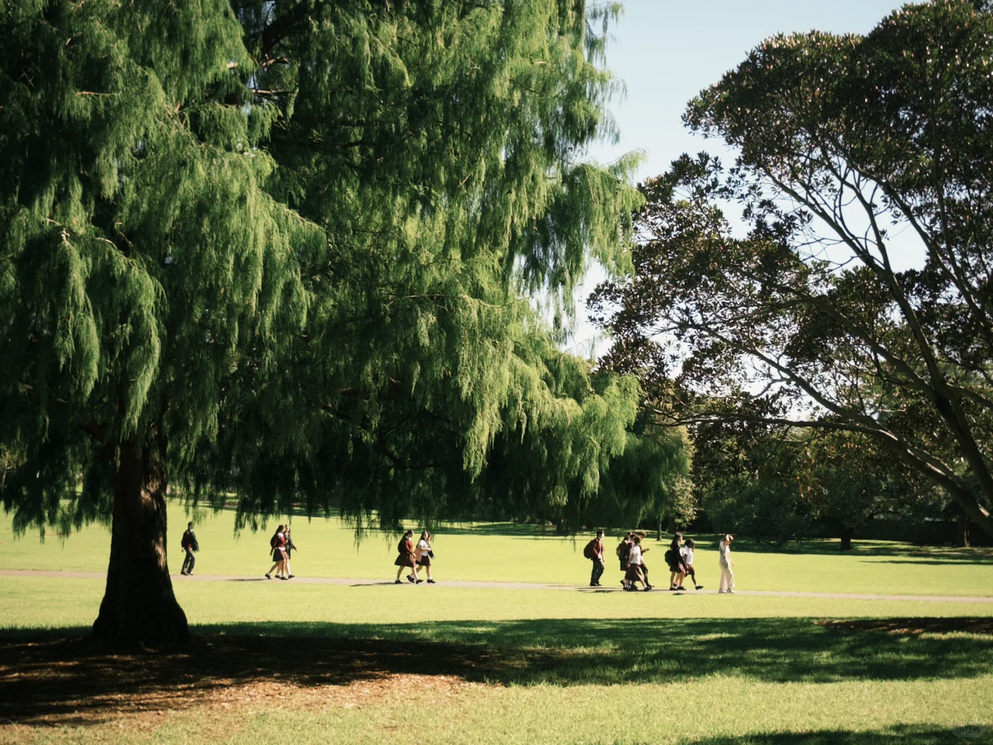 南半球依旧夏天🥥🏊🏄