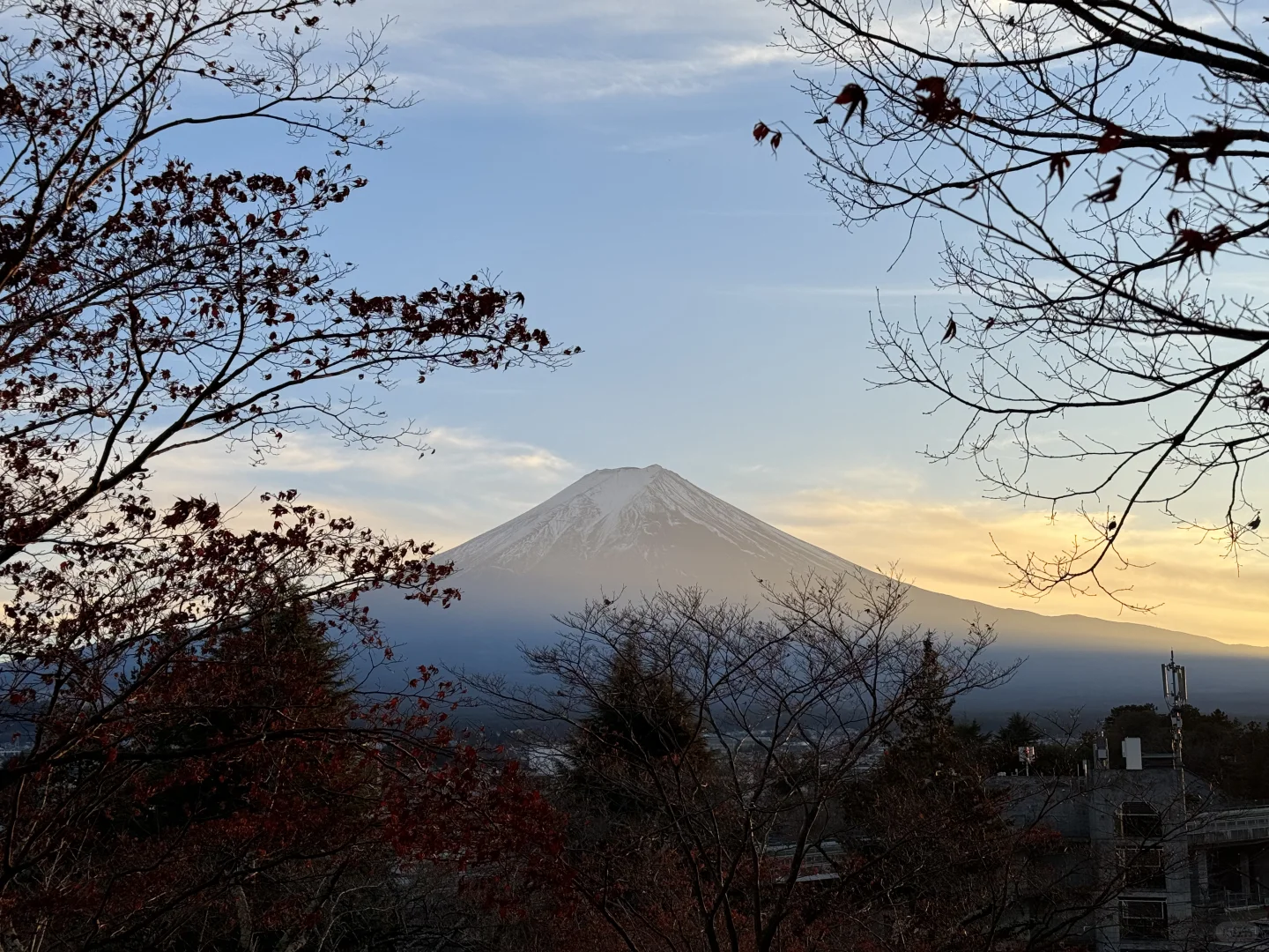 ✨ 「東京：摩登与禅意的二重诗」
