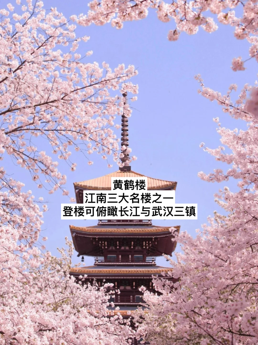 武汉已经美成这样了吗🥹（内附景点介绍）