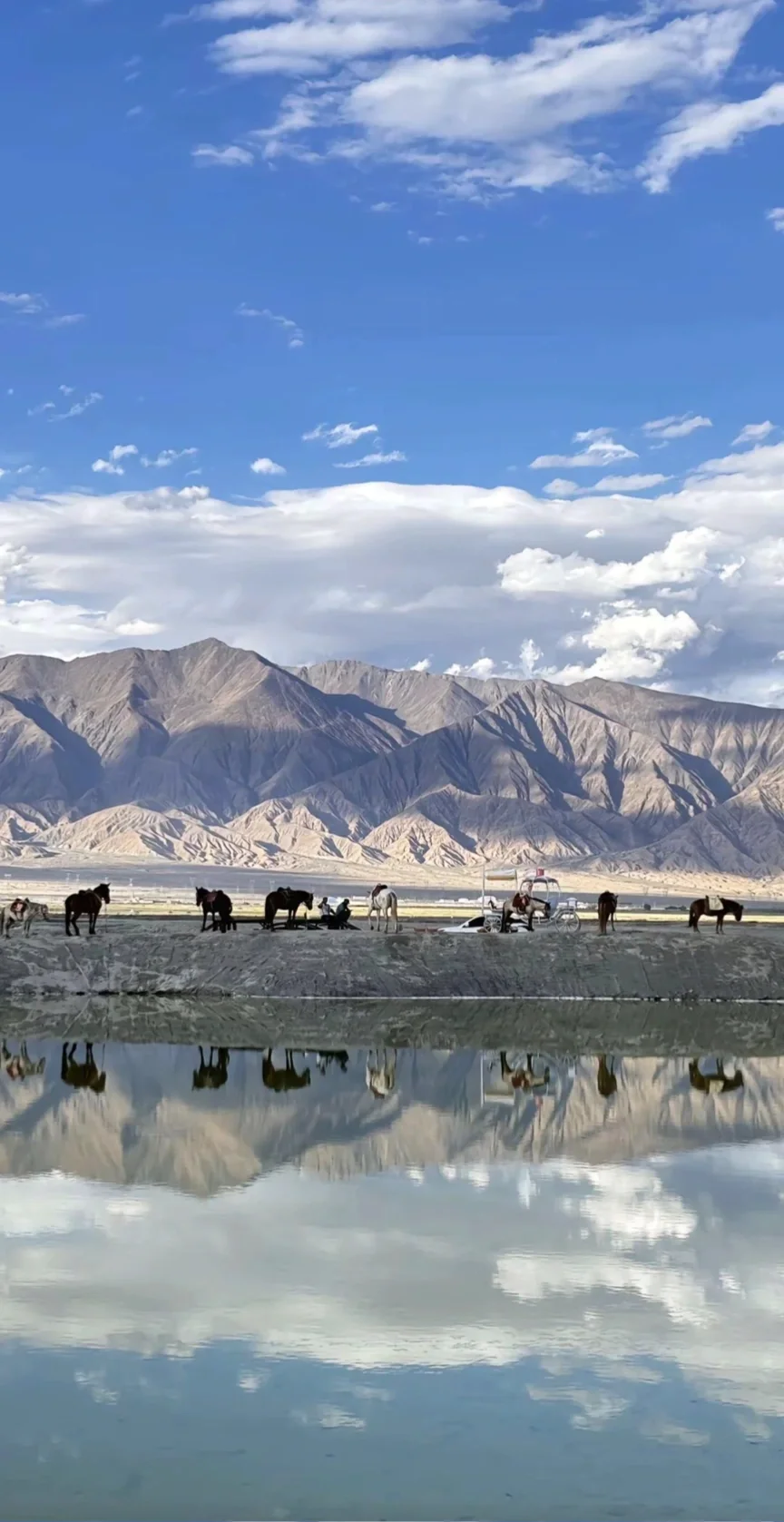 西北跟团已回，能帮一个是一个（永远不删！ ！！