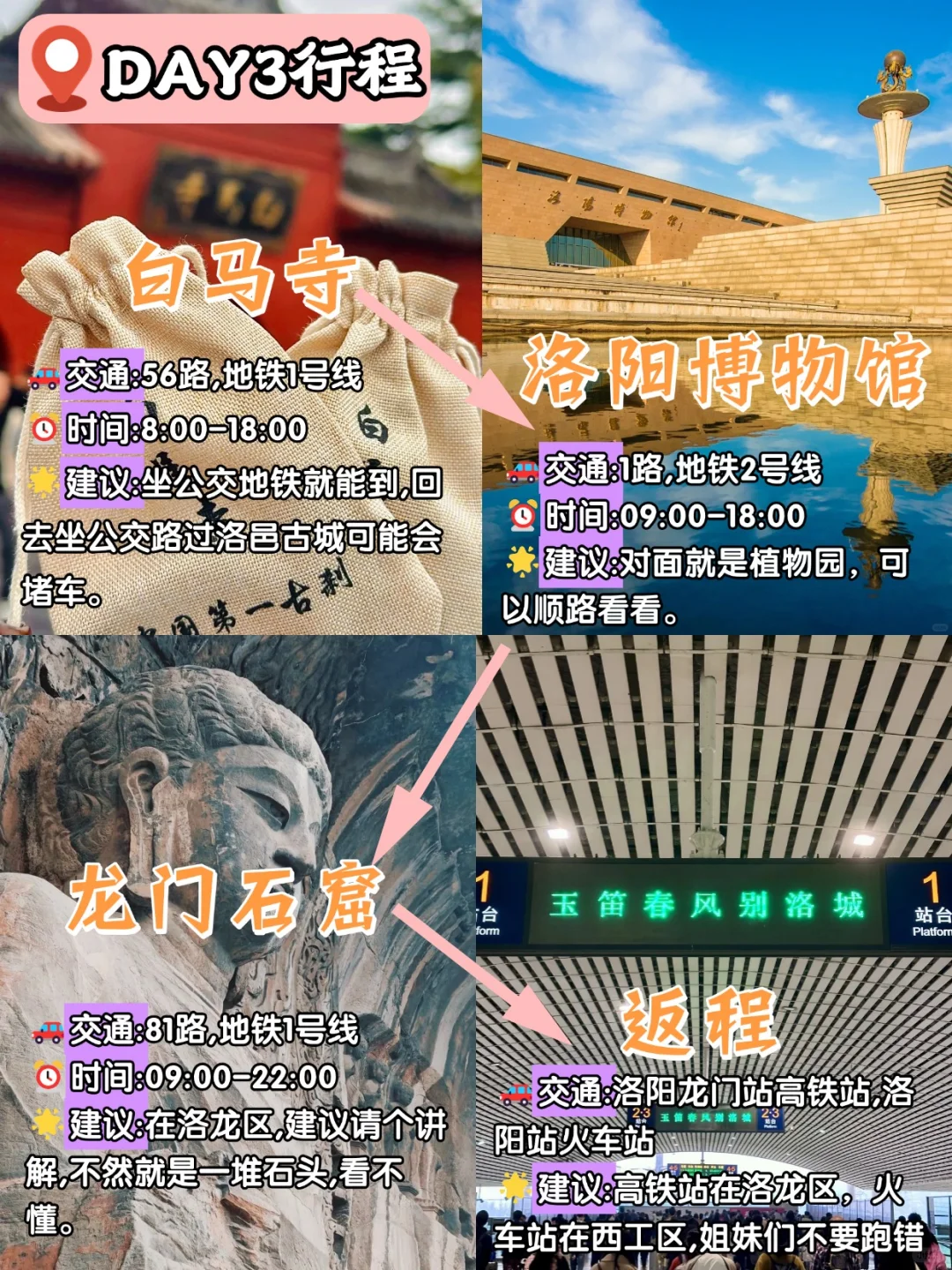 去洛阳前vs去洛阳后‼️只讲大实话