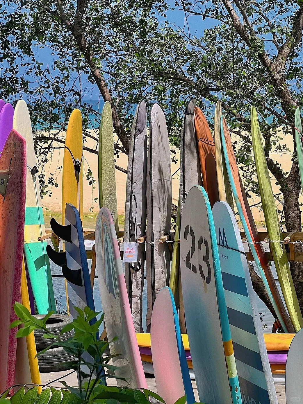 今年五一,我只带娃去一个地方:万宁!🤩