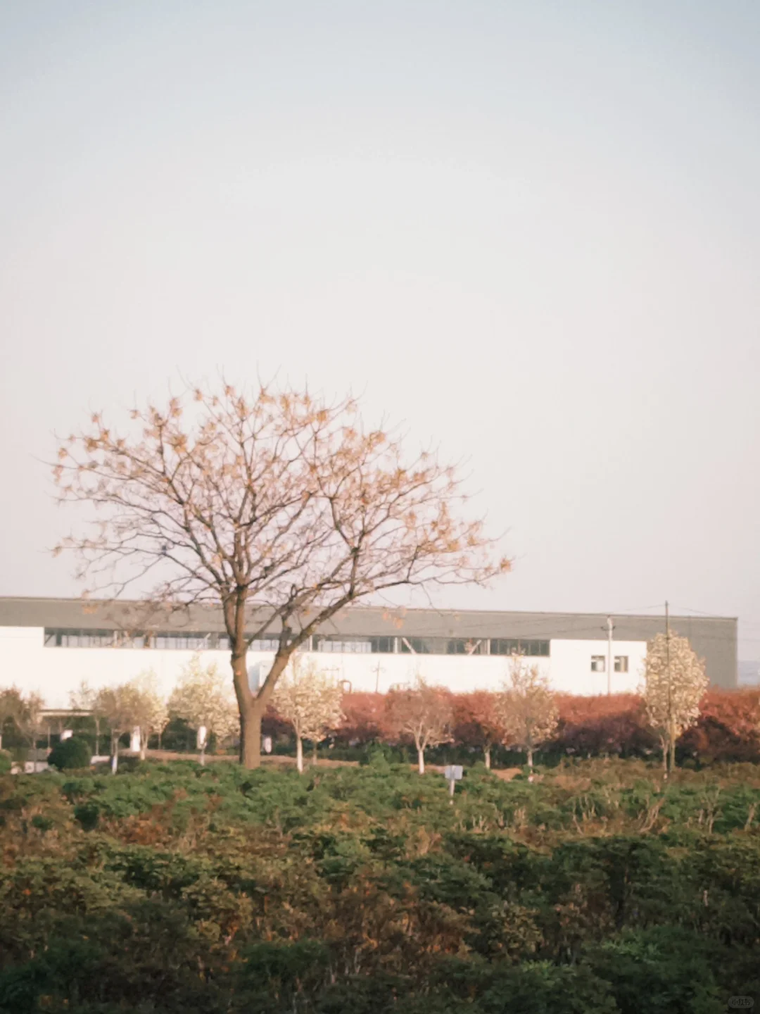 📍邯郸峰峰｜踏春之旅从这里开始吧～