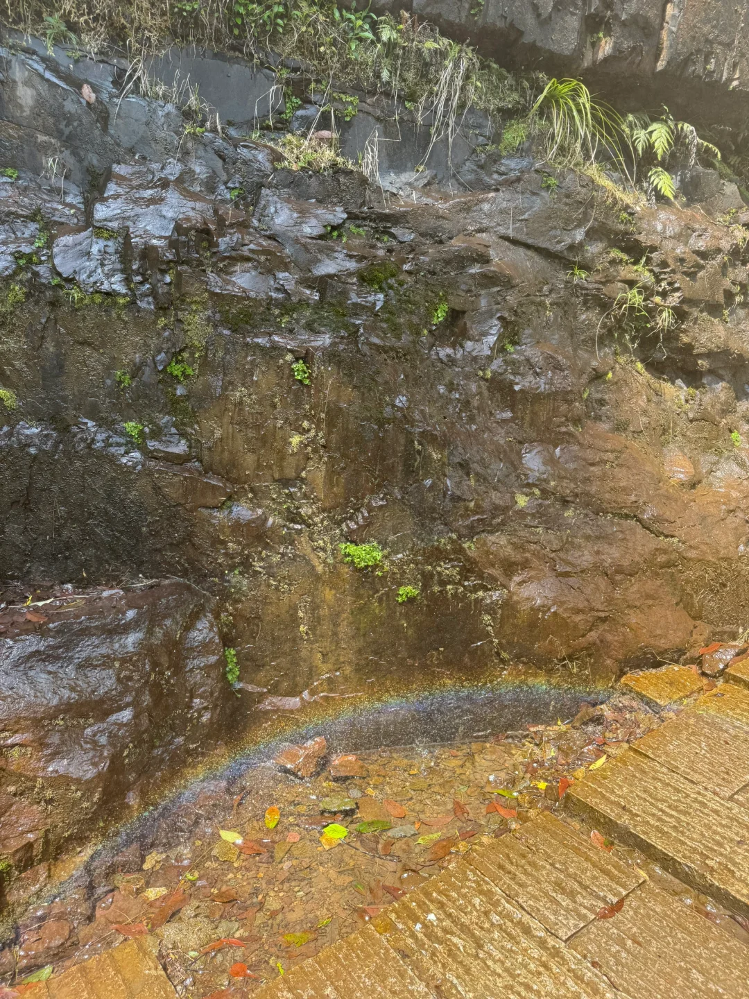 温州市区、音乐节、百丈漈三天两晚旅游攻略