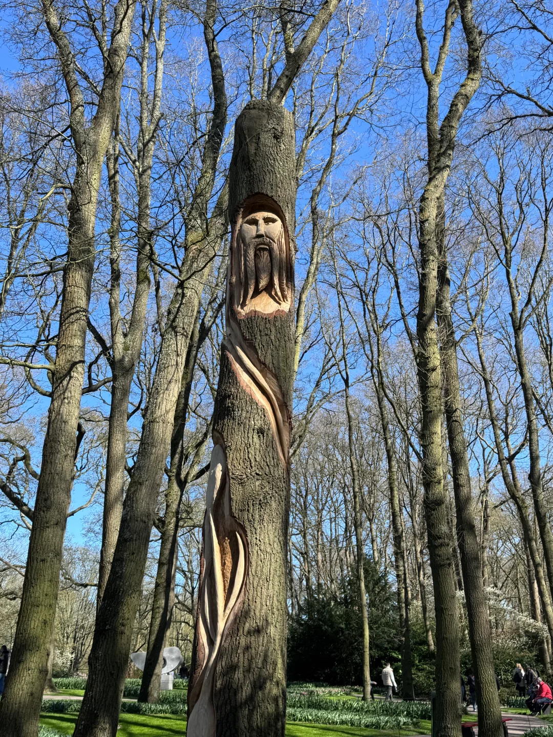 阿姆斯特丹“太子湾”