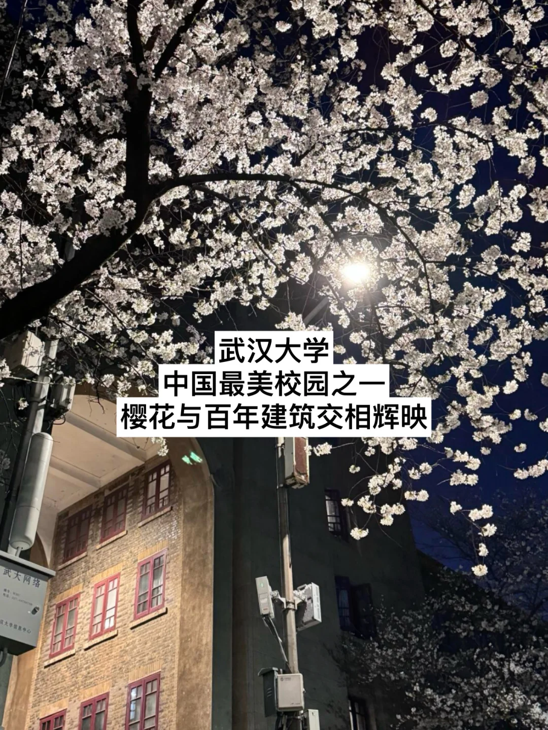 武汉已经美成这样了吗🥹（内附景点介绍）