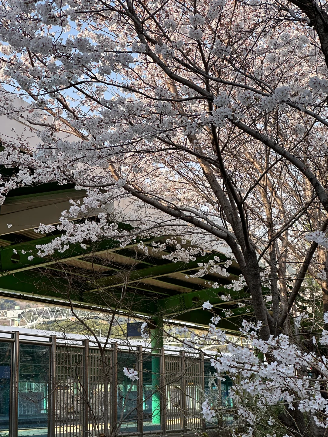 昌原plog｜来到你的故乡