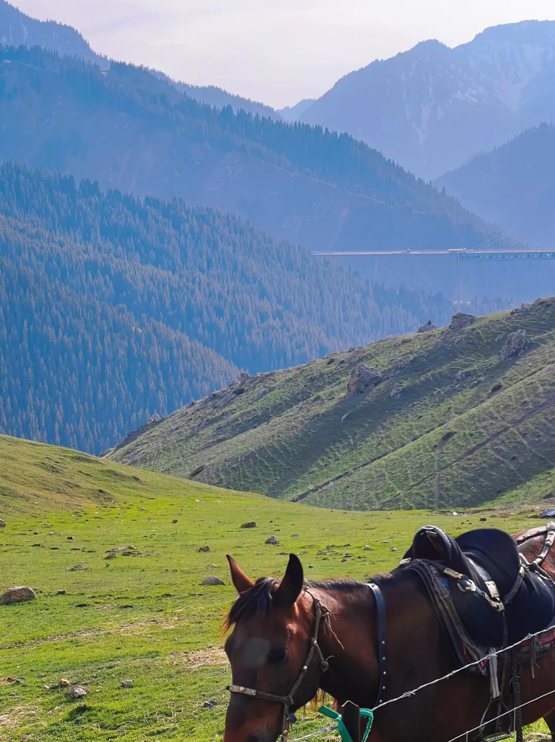 实话难听📍但4-5月来内蒙古的都是大冤种
